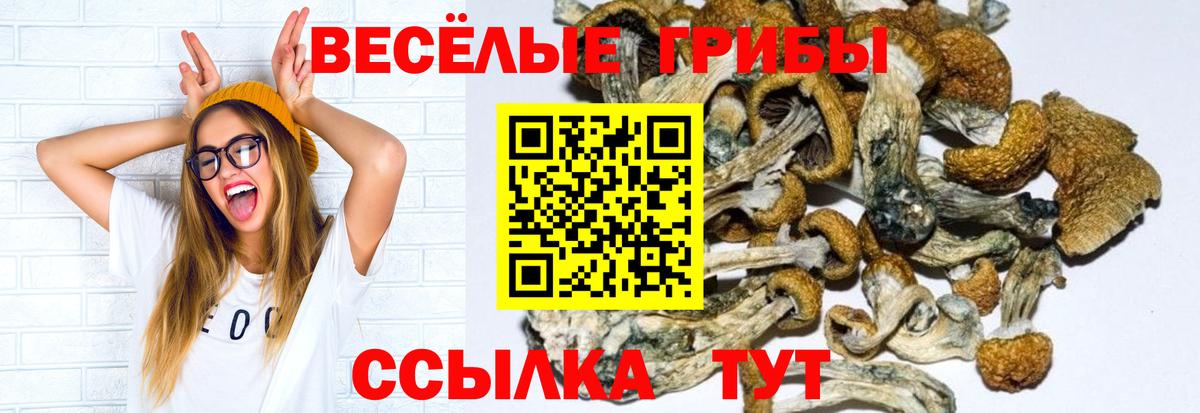 Омск  Галлюциногенные грибы ЛСД  Вход с VPN 